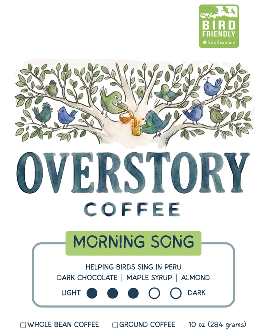 Morning Song